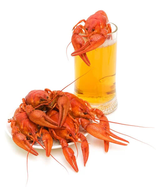 Boiled crayfish and a glass of beer on white background — Stock Photo, Image