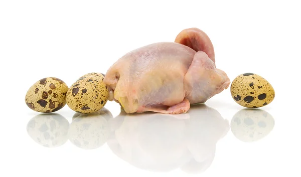 Carcaça de codorna e ovos sobre fundo branco — Fotografia de Stock