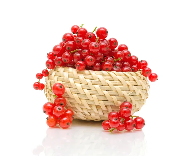 Basket with red currant on white background — Stock Photo, Image