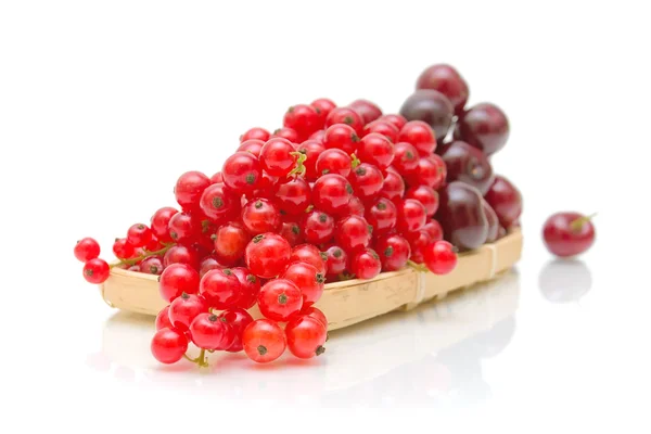 Red currant and black cherry on a white background — Stock Photo, Image