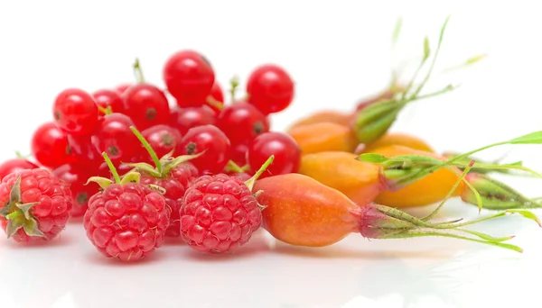 Frutas maduras closeup no fundo branco — Fotografia de Stock
