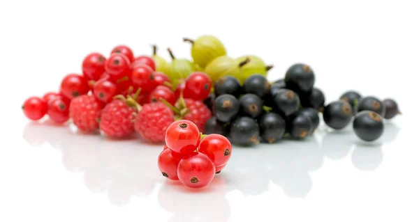 Red currants on the background of a heap of ripe berries — Stock Photo, Image