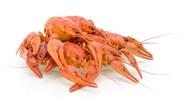 Boiled crawfish on a white background clipart