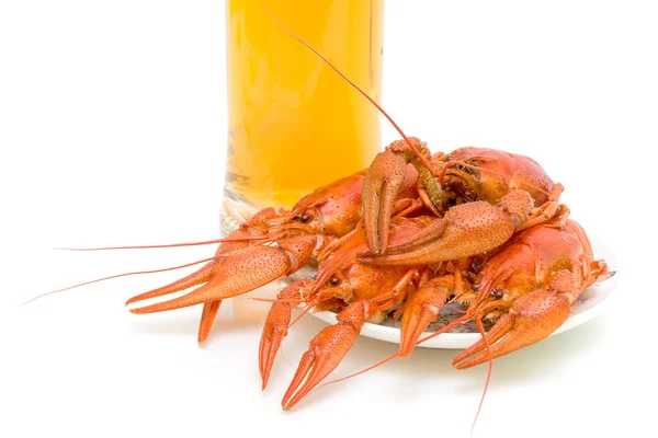Boiled crayfish closeup — Stock Photo, Image