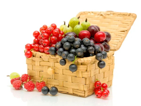Berries in a wicker basket on a white background — Stock Photo, Image