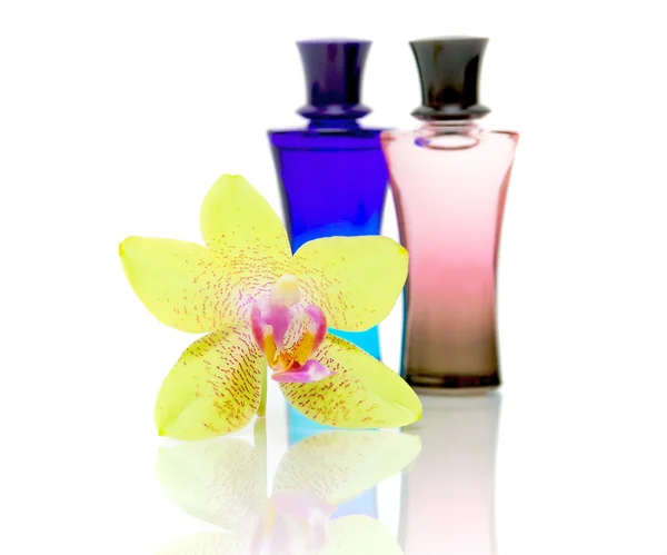 Orchid flower on a background with oil bottles — Stock Photo, Image