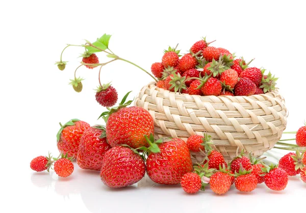 Wild strawberries and strawberry close-up on a white background — Stock Photo, Image