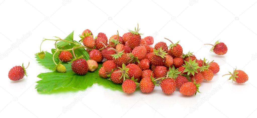 Ripe wild strawberry on a white background