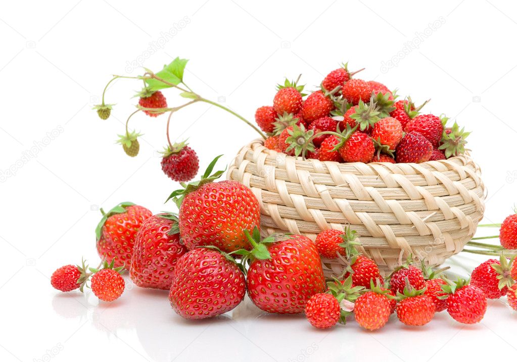 Wild strawberries and strawberry close-up on a white background