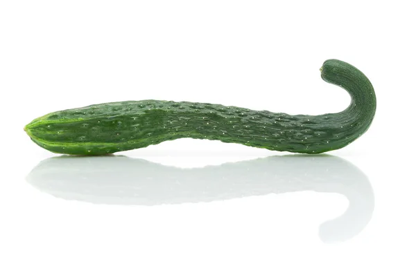 Cucumber on white background — Stock Photo, Image