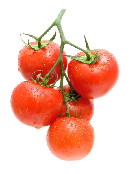 Clustery zralých rajčat záběr na bílém pozadí — Stock fotografie