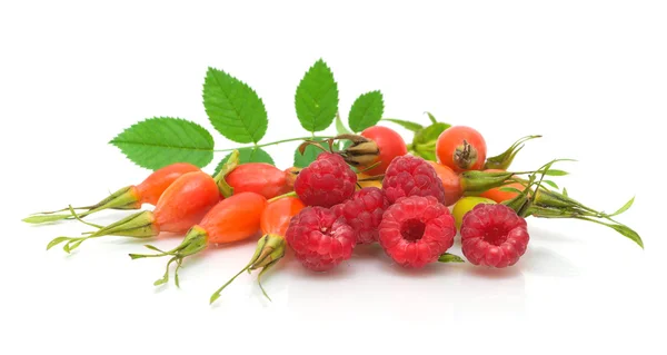 Raspberry and rosehip berries on a white background close-up — Stock Photo, Image