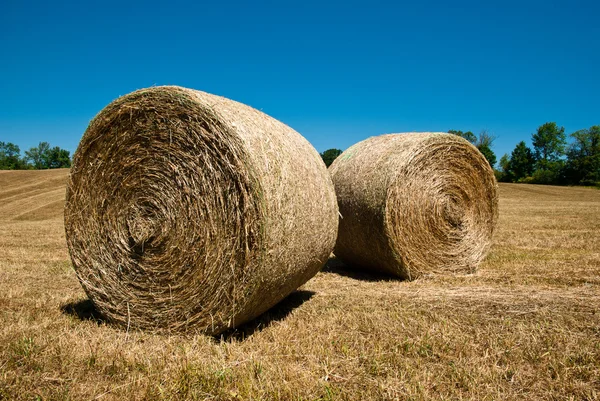 stock image Hay Stacks In Autumn Field