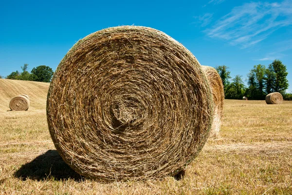 stock image Hay Stacks In Autumn Field