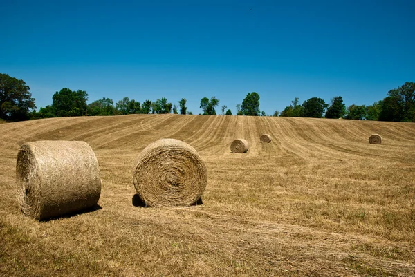 stock image Hay Stacks In Autumn Field