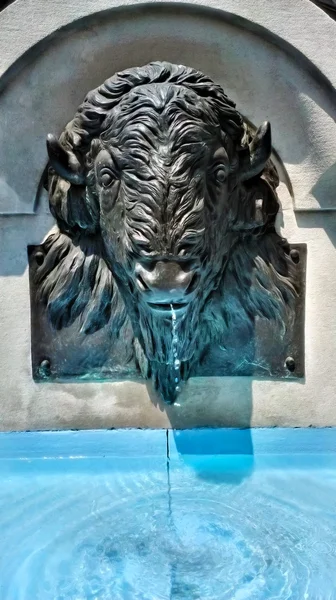 Fontaine d'eau Buffalo d'Indianapolis — Photo