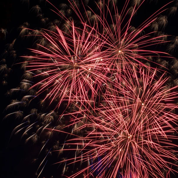 Kleurrijk vuurwerk boven de donkere lucht — Stockfoto