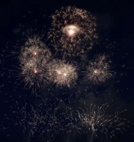 Красочные фейерверки над темным небом Стоковое Фото