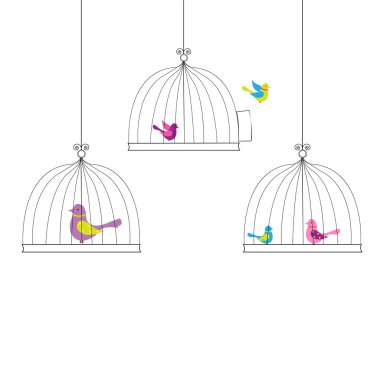 Birds clipart