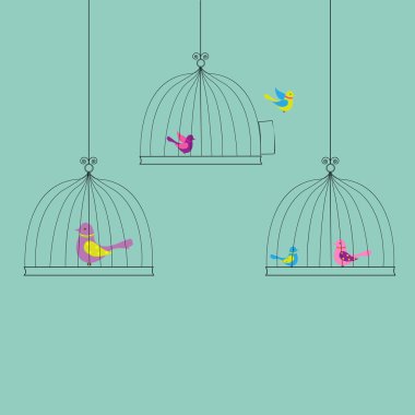 Color Birds clipart