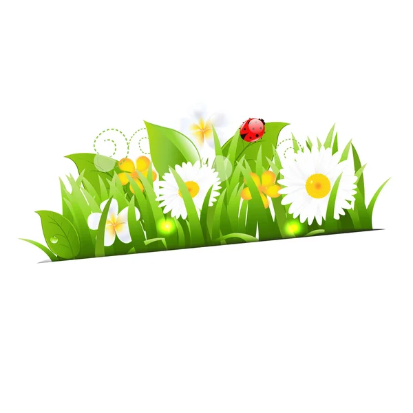 Csokor virág, fű és a katicabogár — Stock Vector