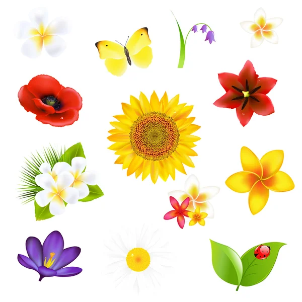 Gros Fleurs Et Feuille Set — Image vectorielle