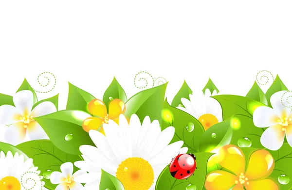 Bordure de fleur avec coccinelle — Image vectorielle
