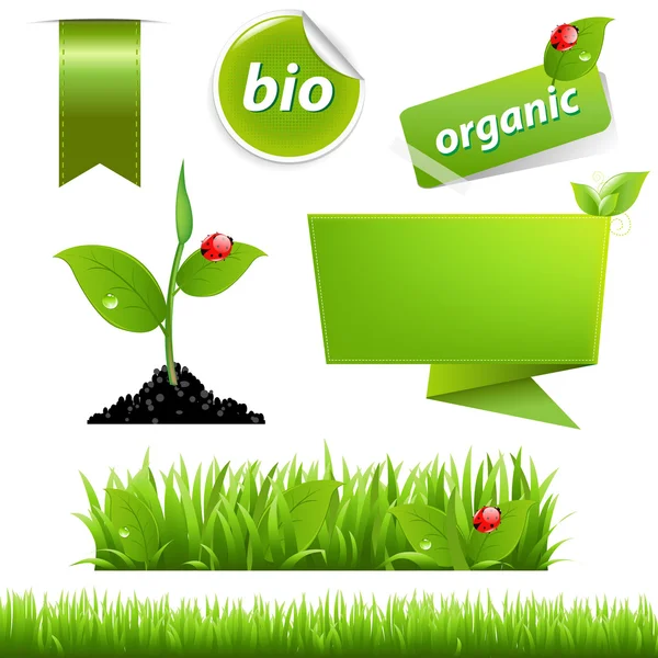 Vert Eco Set avec feuille et coccinelle — Image vectorielle