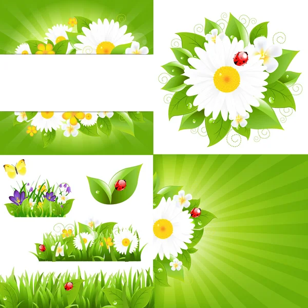 Set From Flower Backgrounds With Ladybug — Stock Vector