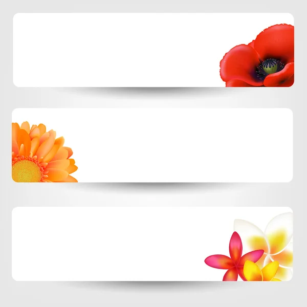 Bannières avec fleurs — Image vectorielle