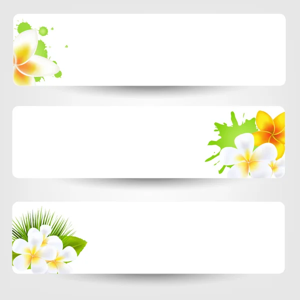 Banners con Flores Frangipani — Vector de stock