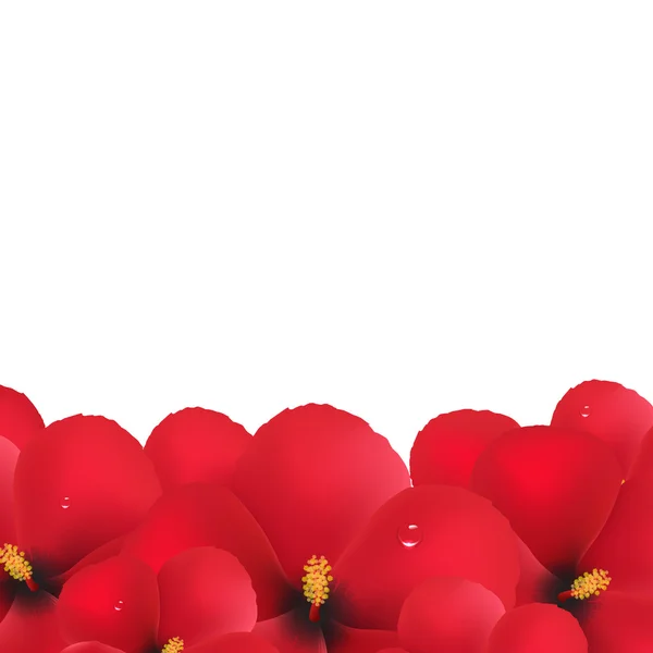 Hibiscus rojo Flores Frontera — Vector de stock