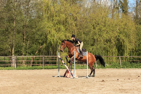 Giovane donna con un cavallo marrone saltare un ostacolo — Foto Stock