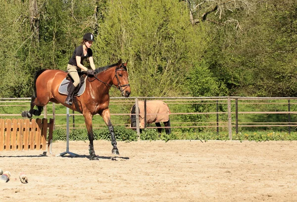 Jeune femme avec un cheval brun sauter un obstacle — Photo