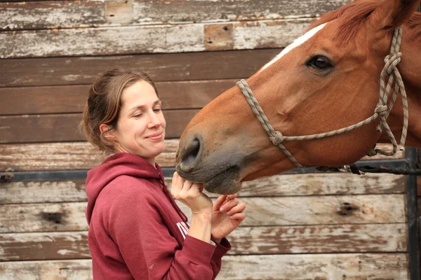 Schöne Frauen schenken ihrem Pferd einen Apfel — Stockfoto