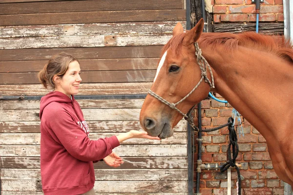 Belle donne danno una mela al suo cavallo — Foto Stock