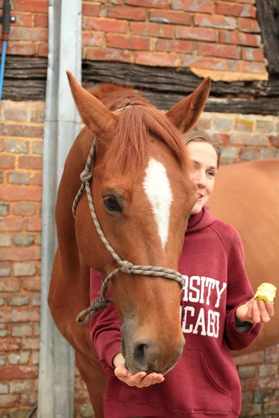 美しい女性は彼女の馬にリンゴを与える — ストック写真