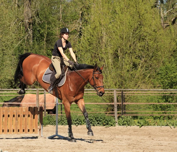 Jeune femme avec un cheval brun sauter un obstacle — Photo
