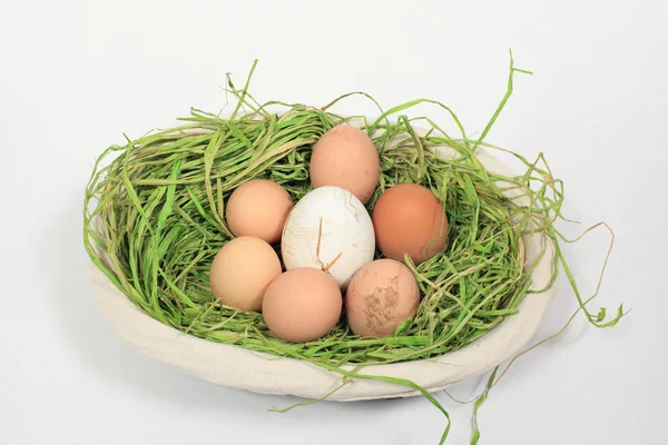 鶏の卵と、バスケットで混合のガチョウ — ストック写真