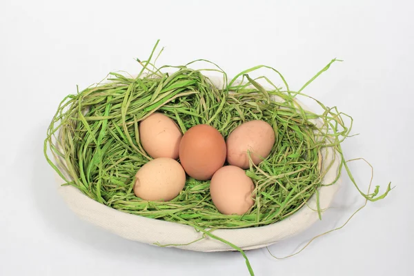 白い背景の上のバスケットに鶏の卵 — ストック写真