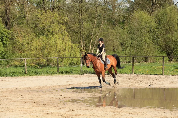 Hermosa equestrienne en caballo marrón en verano — Foto de Stock