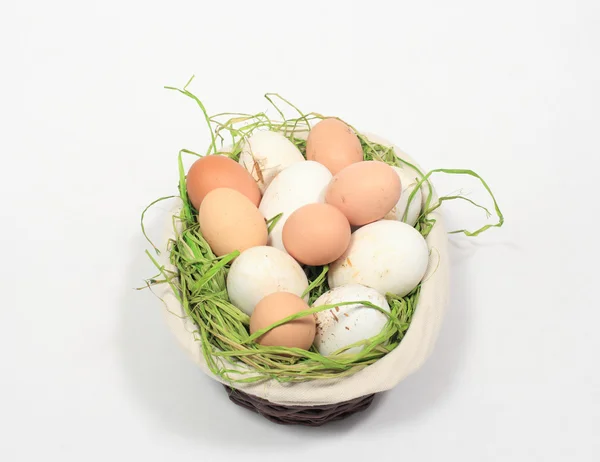 Karışık bir sepet içinde tavuk yumurtası ve kaz — Stok fotoğraf