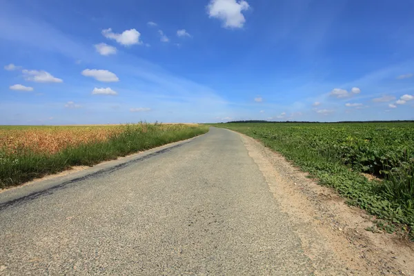 Road in the country in summer under the sun — Stock Photo, Image