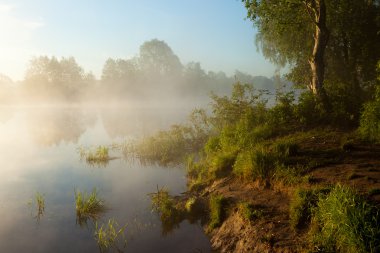 Sunrise with fog over the lake clipart