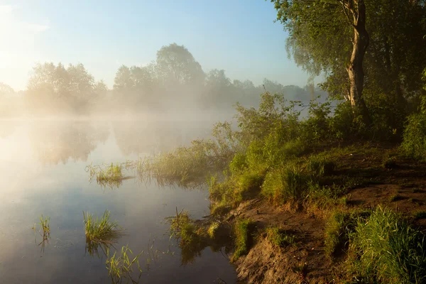 霧の湖の上で日の出 — ストック写真