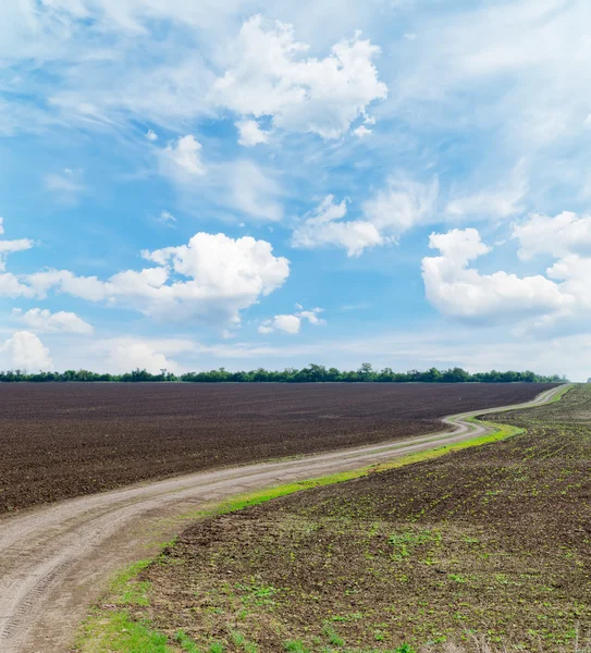 Lantlig väg i svart jordbruksområdet under molnig himmel — Stockfoto
