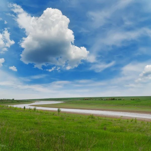 Río en hierba verde bajo cielo nublado — Foto de Stock
