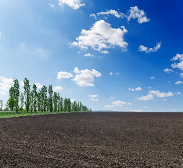 Черное вспаханное поле под голубым небом — стоковое фото
