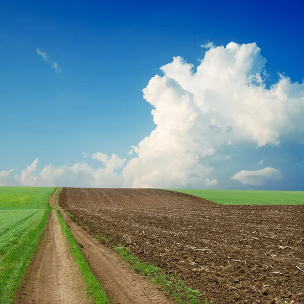 Vuile weg in de buurt van groene en zwarte veld onder bewolkte hemel — Stockfoto