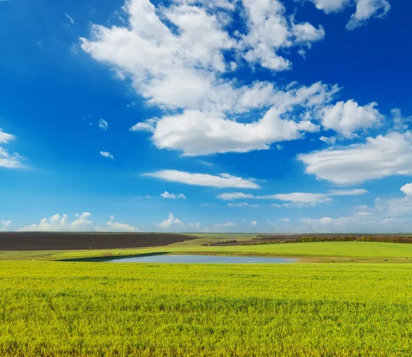 Yeşil çimenli çayır ve bulutlu mavi gökyüzü — Stok fotoğraf